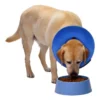 Collar Isabelino Inflable Talle Small Perros Gatos Pequeños - Image 4