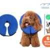 Collar Isabelino Inflable Talle Small Perros Gatos Pequeños - Image 2